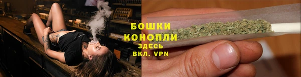 твердый Белокуриха