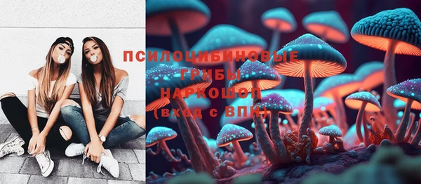 стафф Беломорск