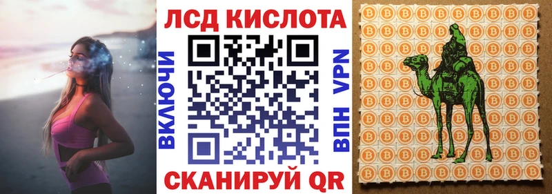 Купить закладки  Аркадак  Марки N-bome 1,8мг 